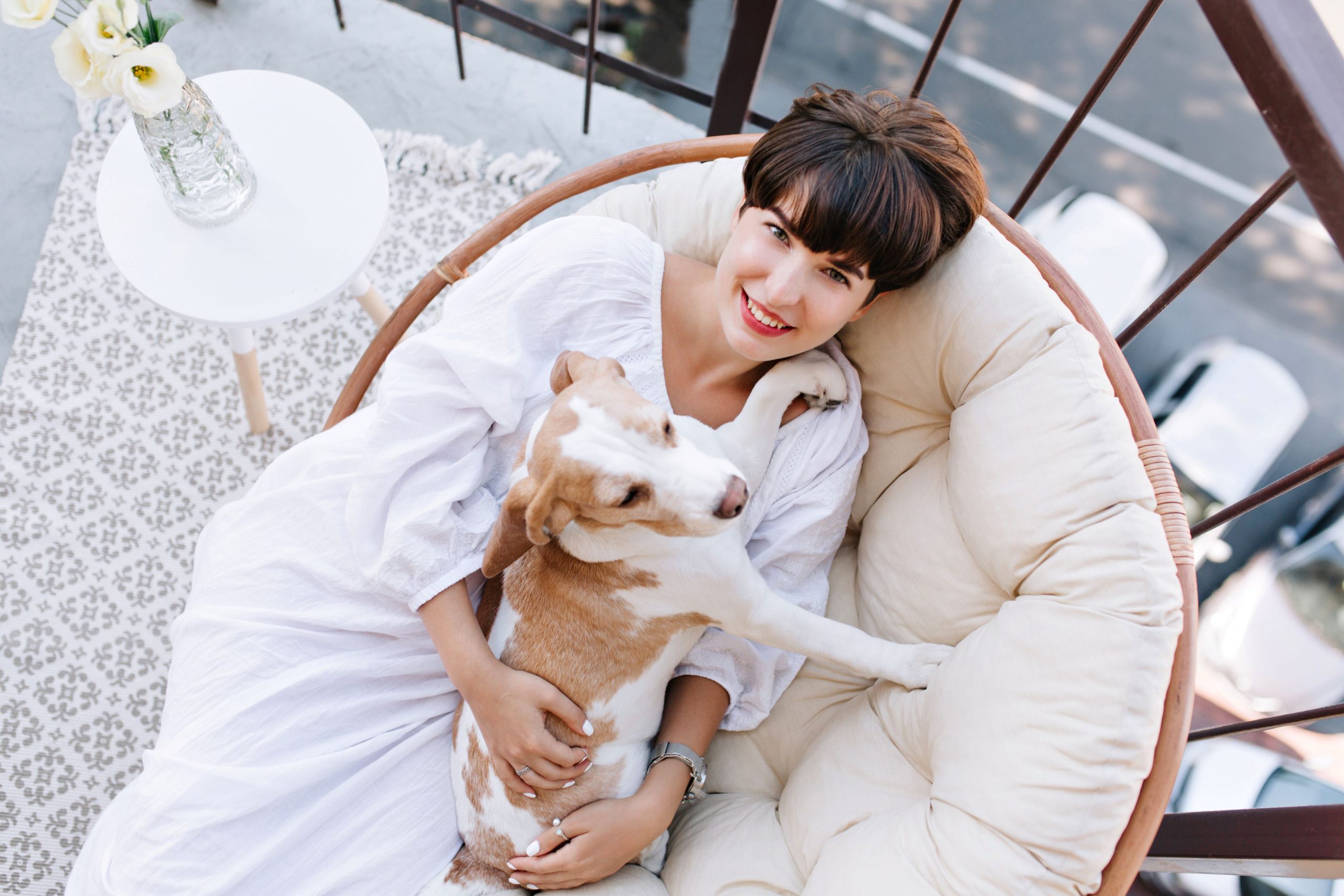 Traveling in Style: How to Prepare for a Pet-Friendly Luxury Spa Vacation?