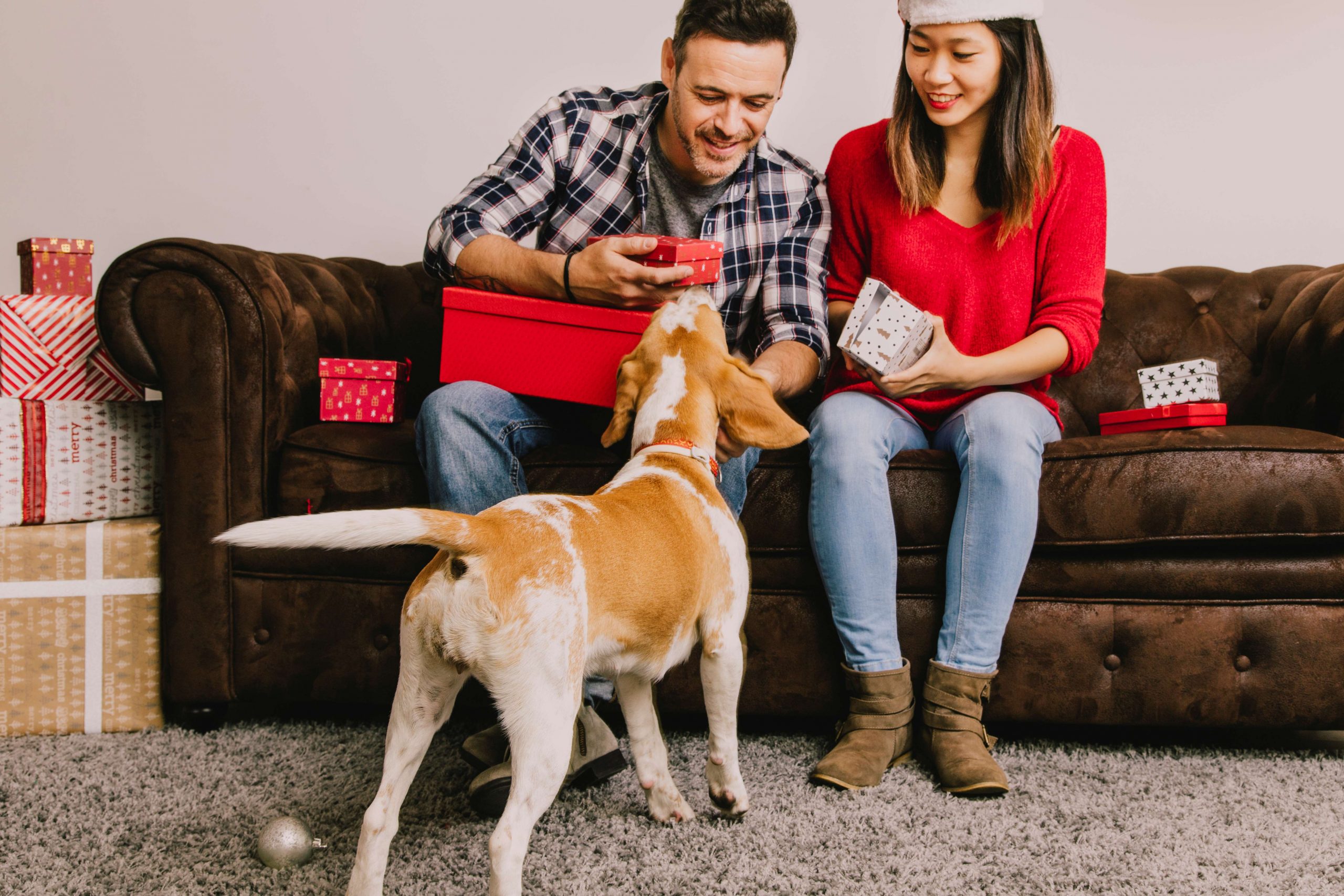 Disney Subscription Box Craze: Finding the Perfect Gift for Pet Lovers