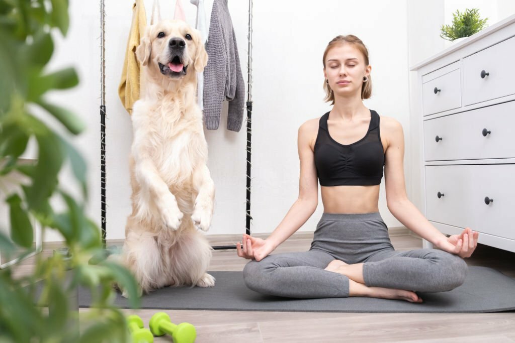 Fitness Supplements For Pet Owners