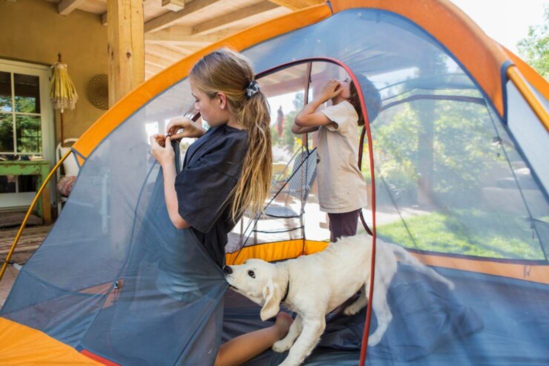 Dog Friendly Camping 1 1