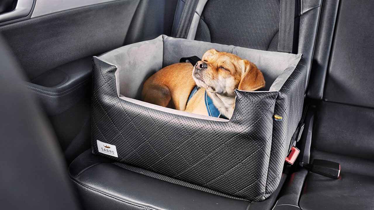 A pet-friendly car seat 