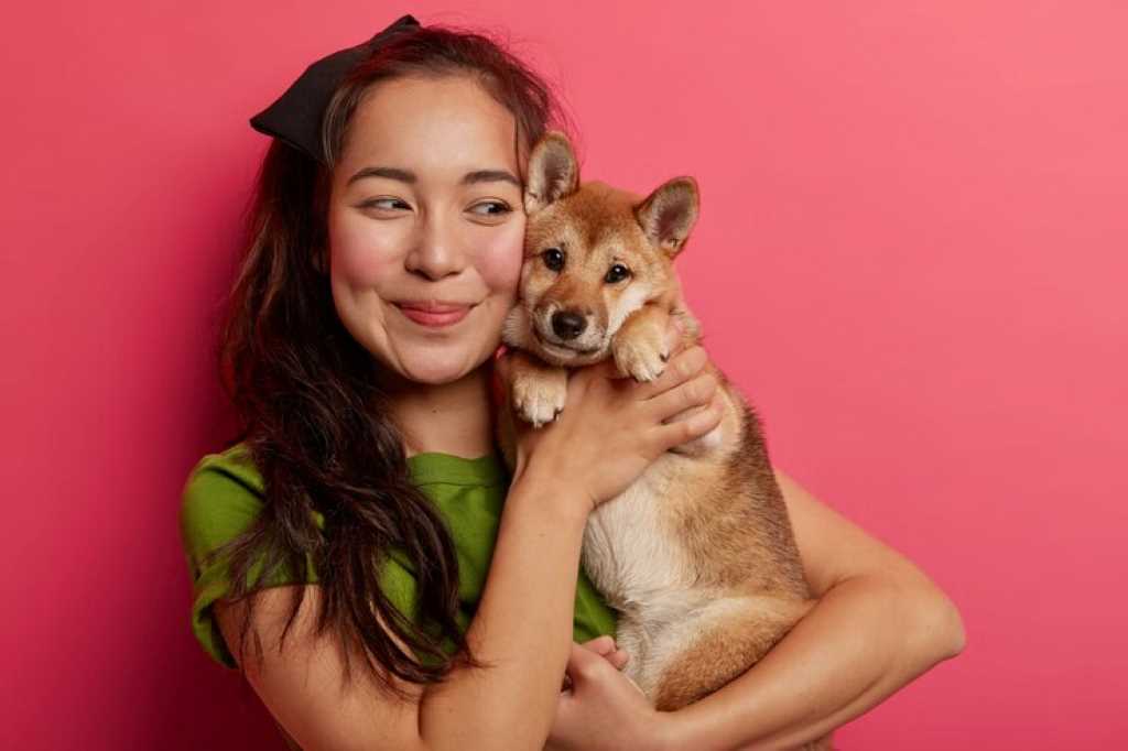 Shot Lovely Korean Girl Being Love With Her Shiba Inu Dog Embraces Pet With Smile Has Dark Hair Wears Green T Shirt Poses With Animal Against Pink Background 273609 34219