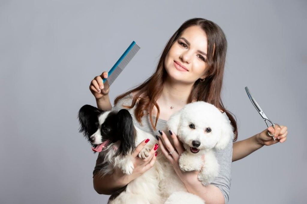 Young Professional Groomer With Pets 186673 5911