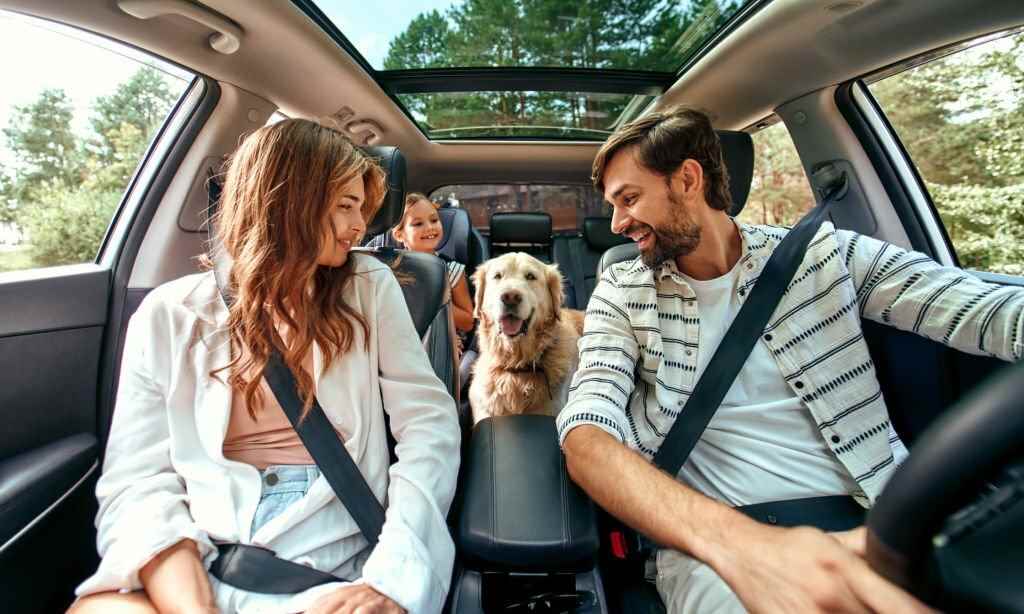 A family heading to a car ride with pet