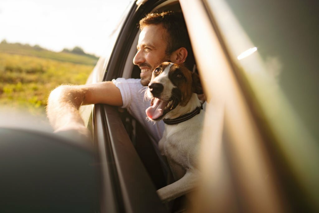 young man and his dog riding in a car on a bright summer day