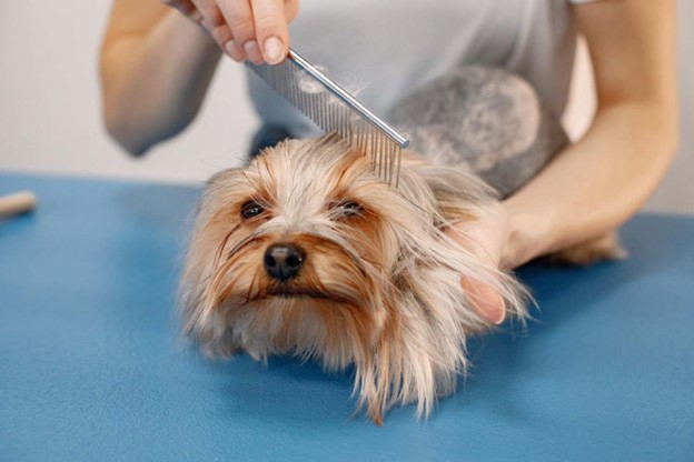 Managing Pet Hair