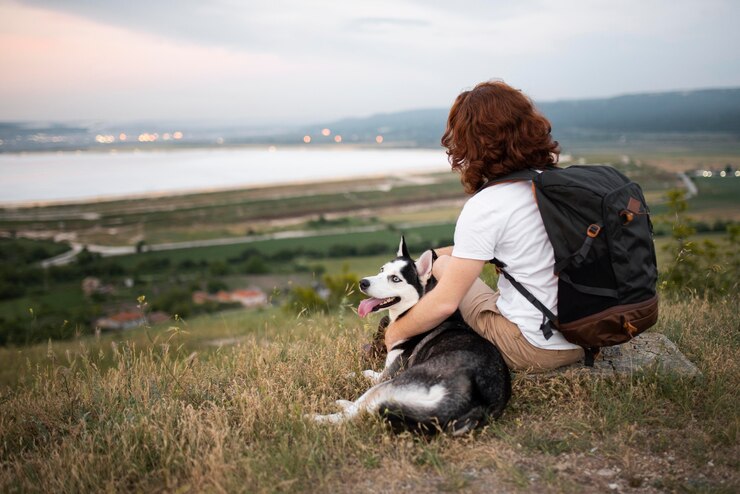 Pet Inspired Apparel On Travel Experiences