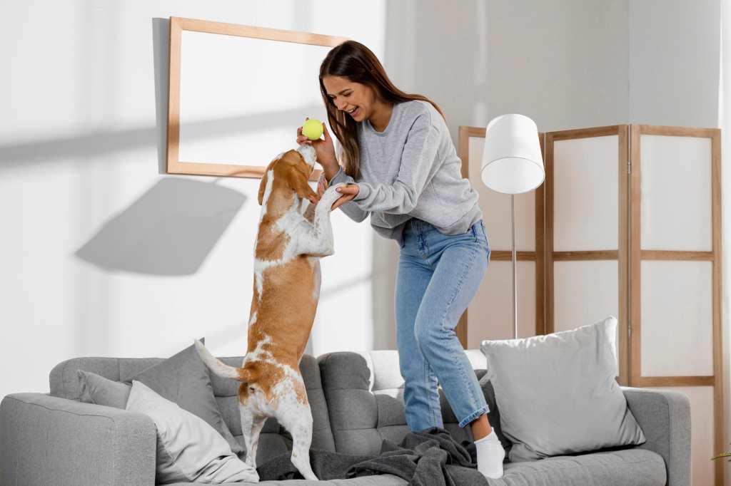 girl and dog standing on couch