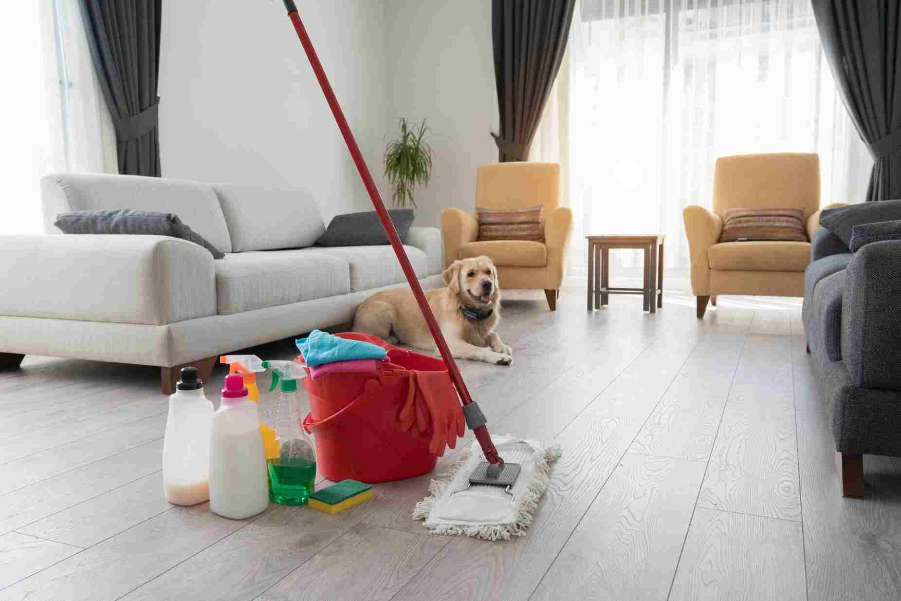 house Cleaning Service